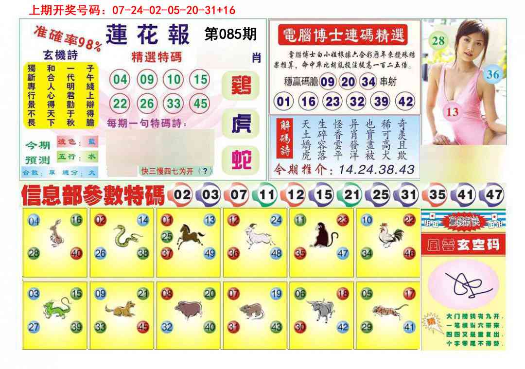 085期莲花报[图]