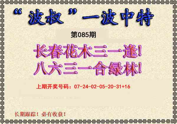 085期波叔一波中特[图]